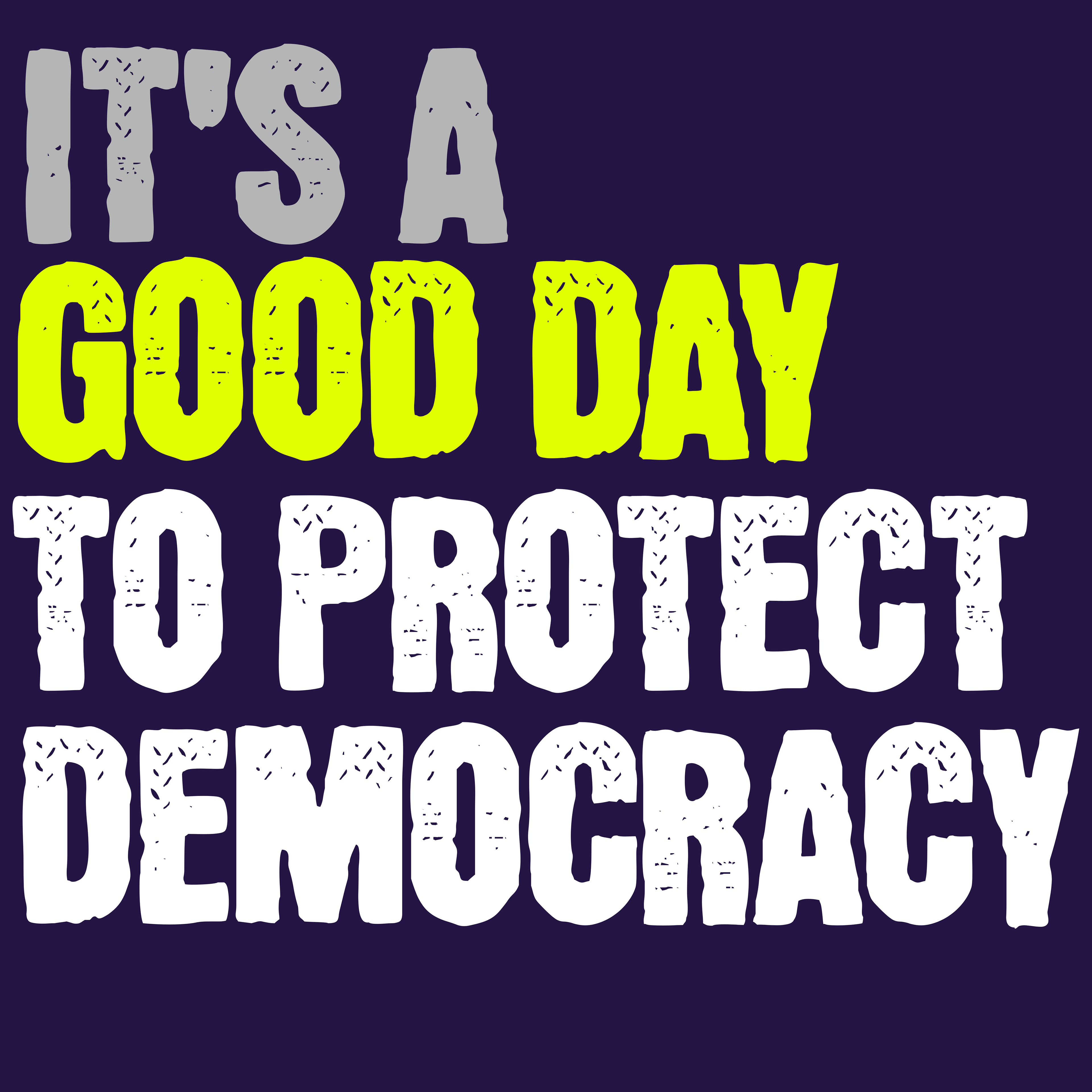 IT'S A GOOD DAY TO PROTECT DEMOCRACY